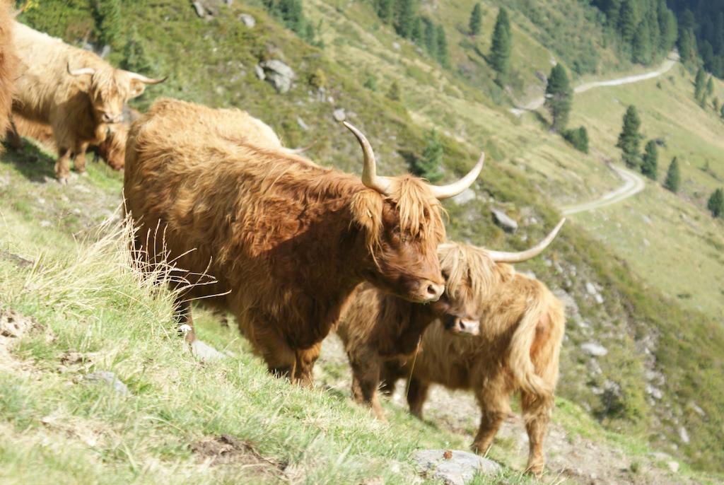 Kraftquelle Herrnmühle Bramberg am Wildkogel Exterior foto